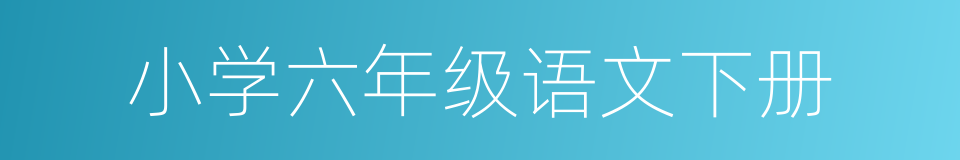 小学六年级语文下册的同义词