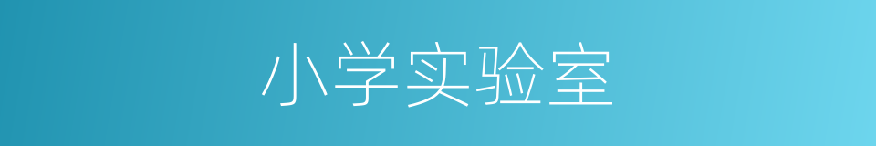 小学实验室的同义词
