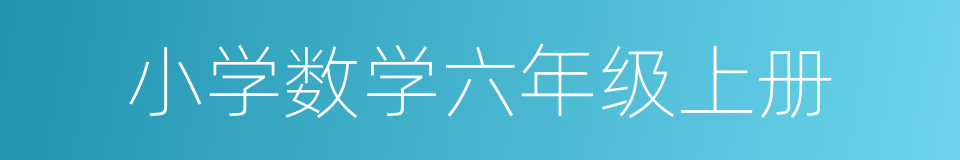 小学数学六年级上册的同义词