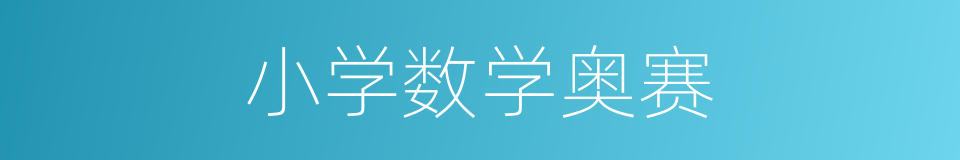 小学数学奥赛的同义词