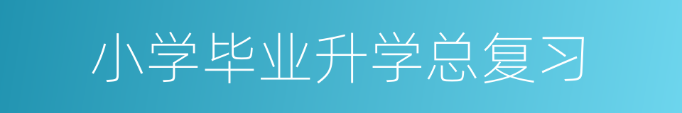 小学毕业升学总复习的同义词