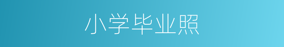小学毕业照的同义词
