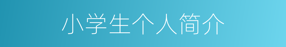 小学生个人简介的同义词