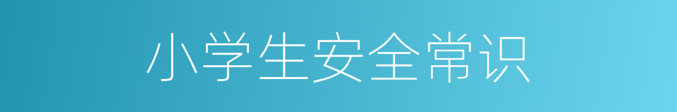 小学生安全常识的同义词
