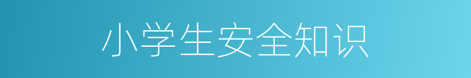 小学生安全知识的同义词