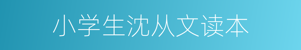 小学生沈从文读本的同义词