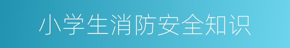 小学生消防安全知识的同义词