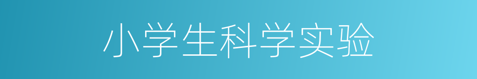 小学生科学实验的同义词