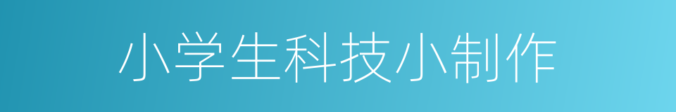 小学生科技小制作的同义词