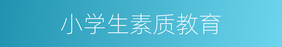 小学生素质教育的同义词