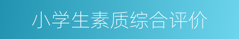 小学生素质综合评价的同义词
