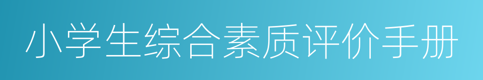 小学生综合素质评价手册的同义词