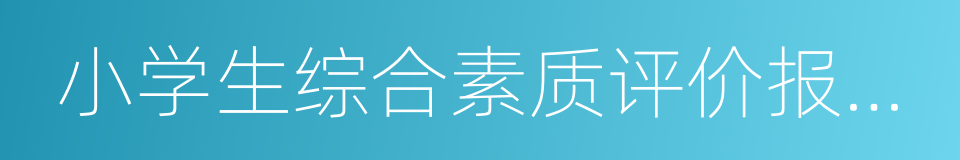 小学生综合素质评价报告书的同义词