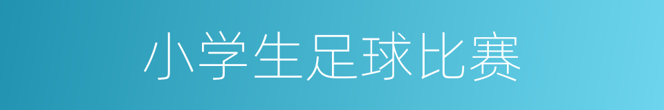 小学生足球比赛的同义词