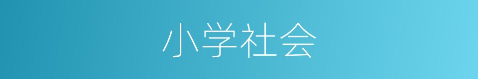 小学社会的同义词