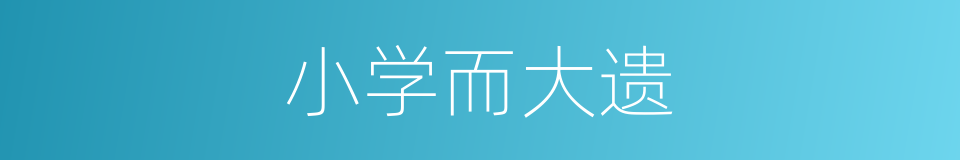 小学而大遗的意思