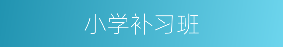 小学补习班的同义词