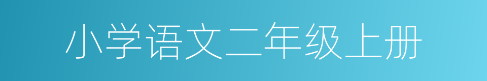 小学语文二年级上册的同义词