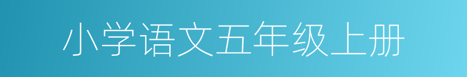 小学语文五年级上册的同义词