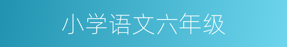 小学语文六年级的同义词