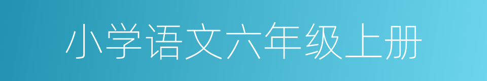 小学语文六年级上册的同义词