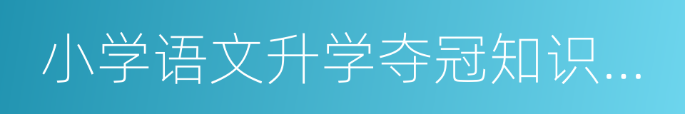 小学语文升学夺冠知识大集结的同义词