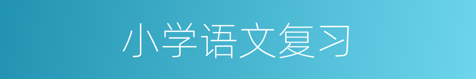 小学语文复习的同义词