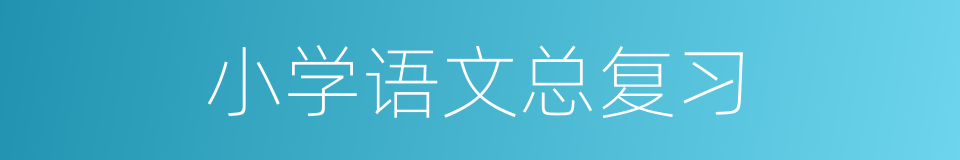 小学语文总复习的同义词