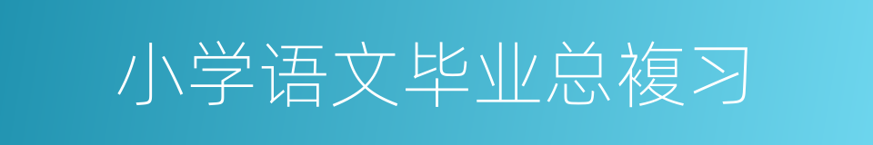 小学语文毕业总複习的同义词