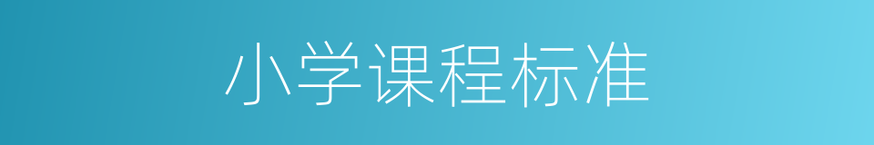 小学课程标准的同义词