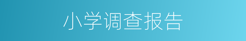小学调查报告的同义词