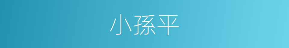 小孫平的同義詞