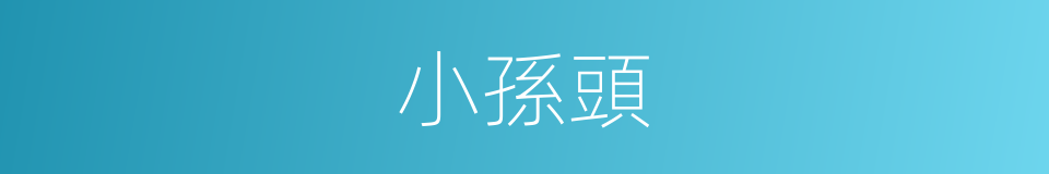 小孫頭的同義詞