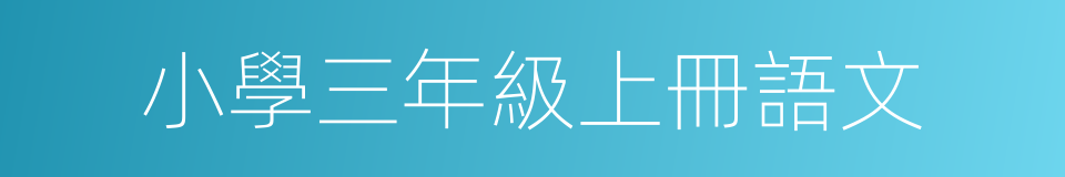 小學三年級上冊語文的同義詞