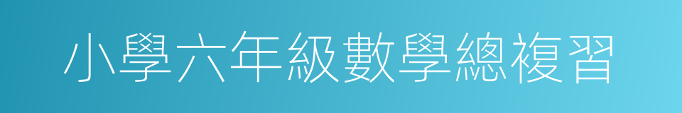 小學六年級數學總複習的同義詞