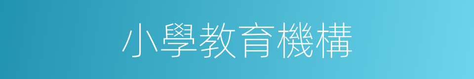 小學教育機構的同義詞
