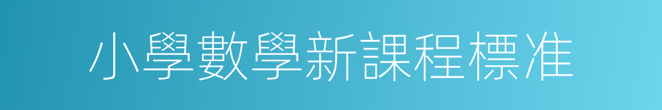 小學數學新課程標准的同義詞