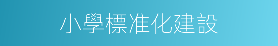 小學標准化建設的同義詞