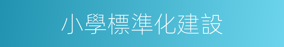 小學標準化建設的同義詞