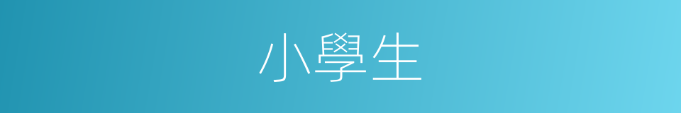 小學生的意思