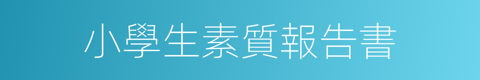 小學生素質報告書的同義詞