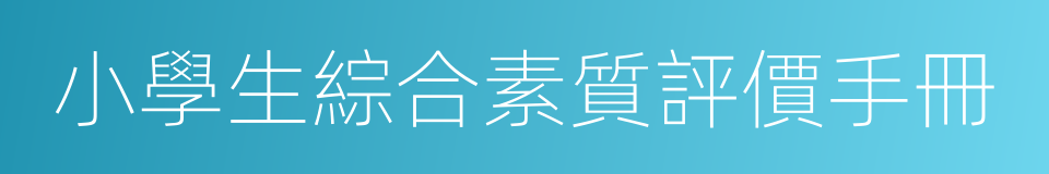 小學生綜合素質評價手冊的同義詞