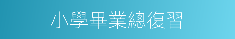 小學畢業總復習的同義詞