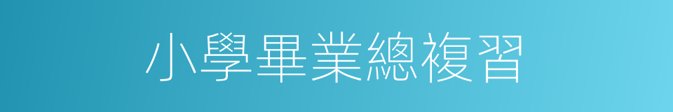 小學畢業總複習的同義詞