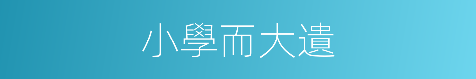 小學而大遺的意思