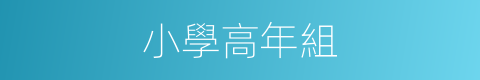 小學高年組的同義詞