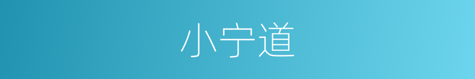 小宁道的同义词