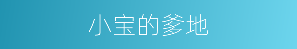 小宝的爹地的同义词