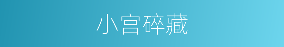 小宫碎藏的同义词