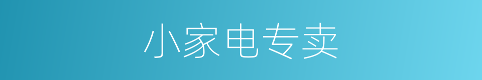 小家电专卖的同义词